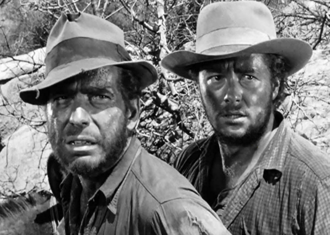 #18. The Treasure of the Sierra Madre (1948)